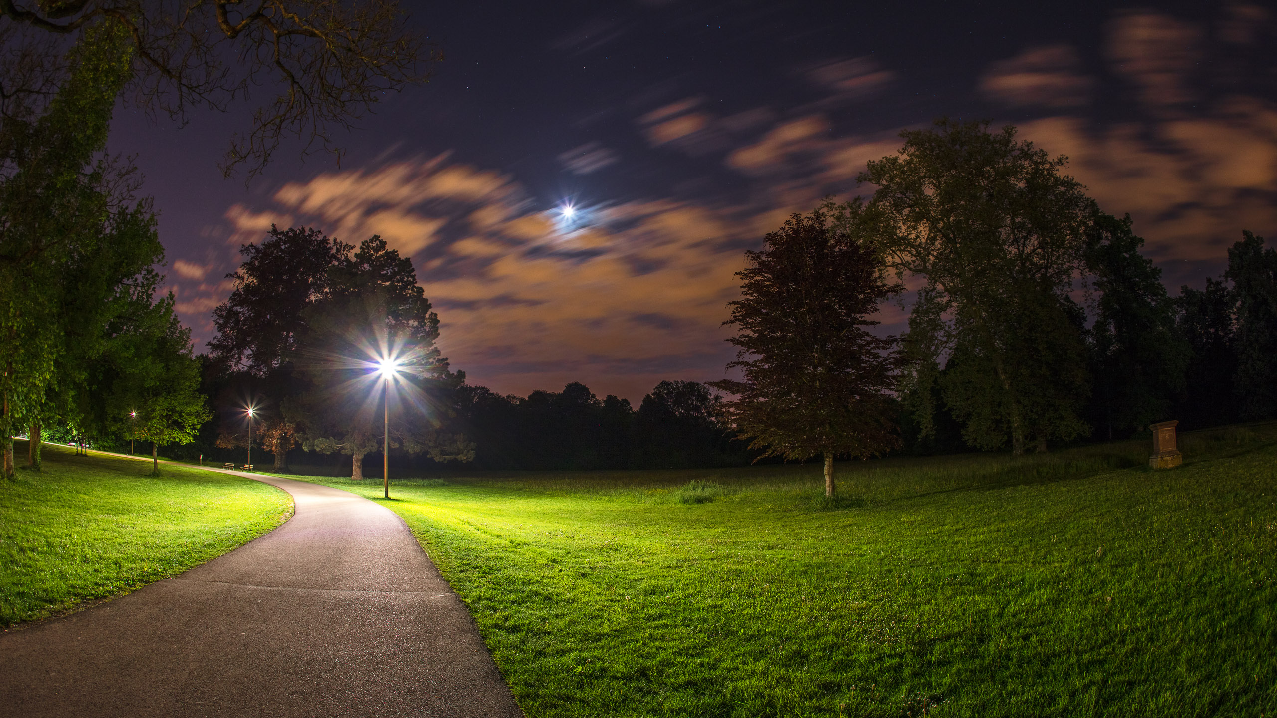 20220507235916 DP017490